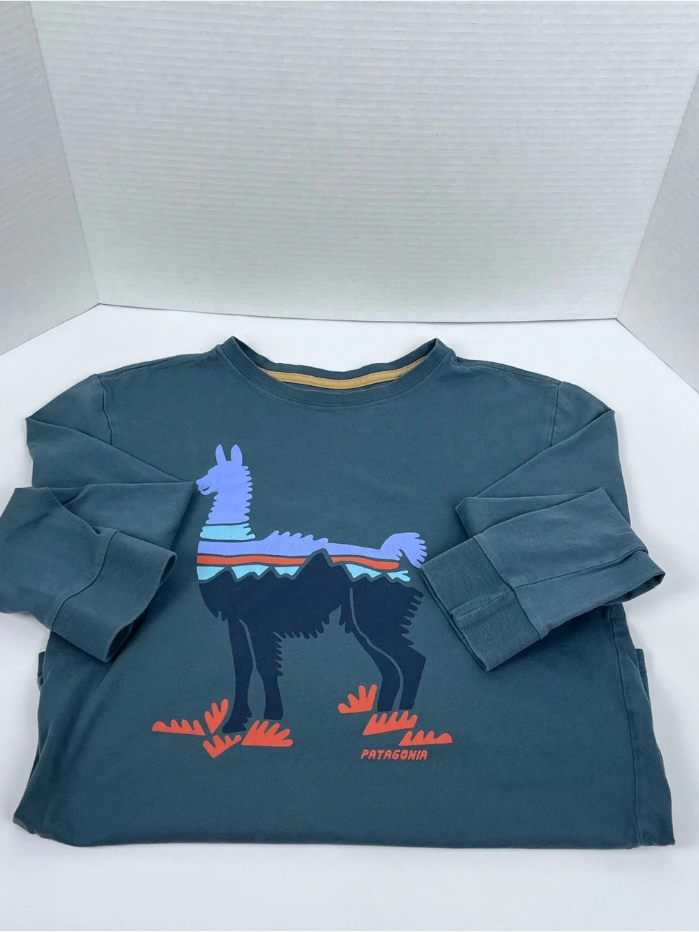 Patagonia Boy's 100% Organic Cotton LLama Graphic Print Long Sleeve Tee Size L